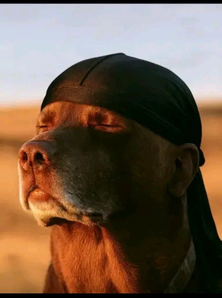 MARO🏆🏆🏆 tweet media