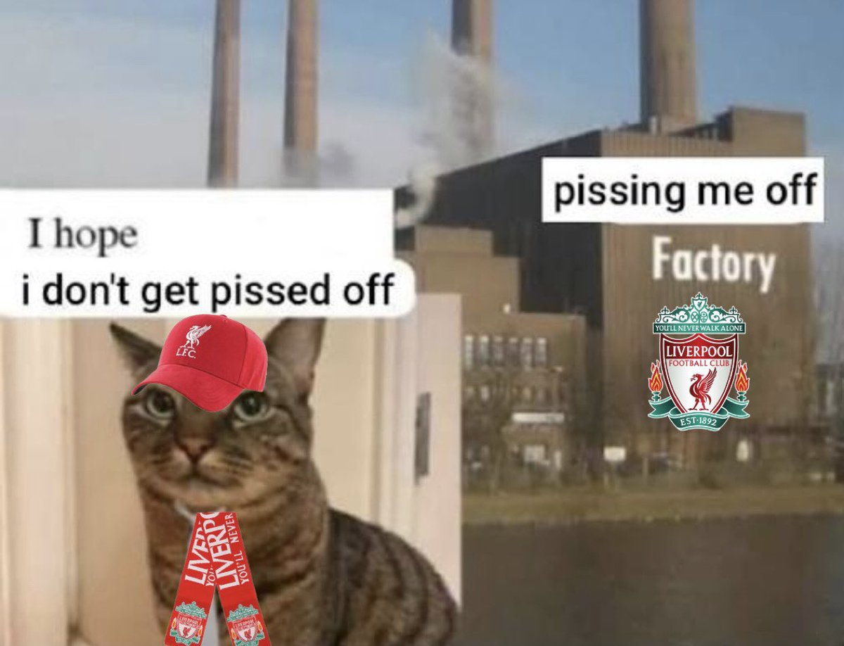 Cameron✨ tweet media