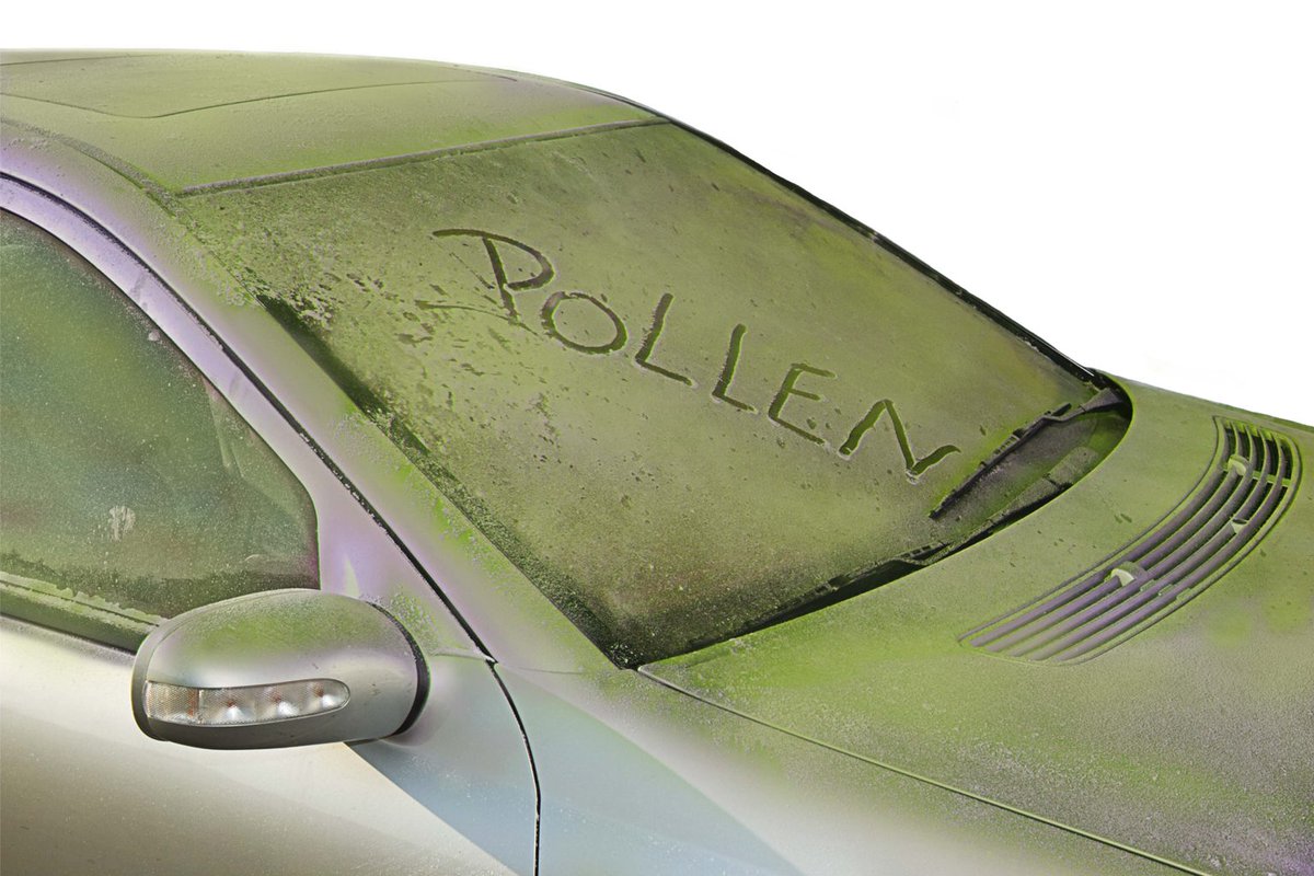 BeachsCarWashJB's tweet image. Pollen doesn't stand a chance at Beaches Car Wash! Come get your car sparkling clean, inside and out, and leave the pollen behind.
#BeachesCarWash #CarWash #CleanCars #AutoDetailing #MilitaryDiscount #GreatGiftIdeas #Jacksonville #Jax #JaxBeach
