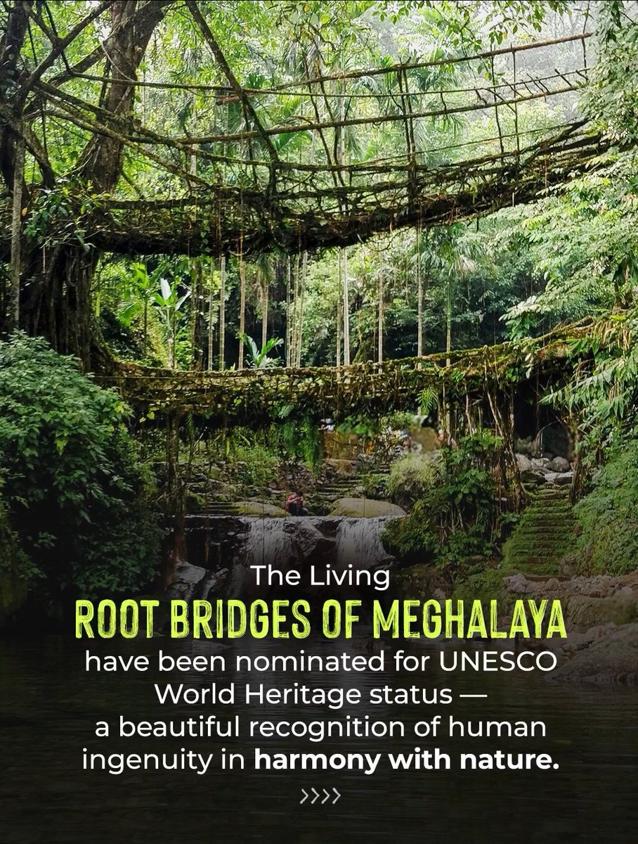 PSollino13299's tweet image. With the same spirit that perpetuated Meghalaya's skillful living root bridge technique, Cauvery Calling is advancing the culture of tree-based agriculture.
Let's make it happen!

#CauveryCalling #SaveSoil
@cpsavesoil