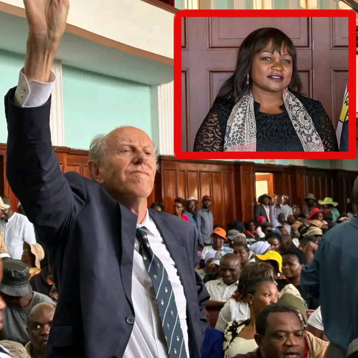 Jacob Ngarivhume tweet media