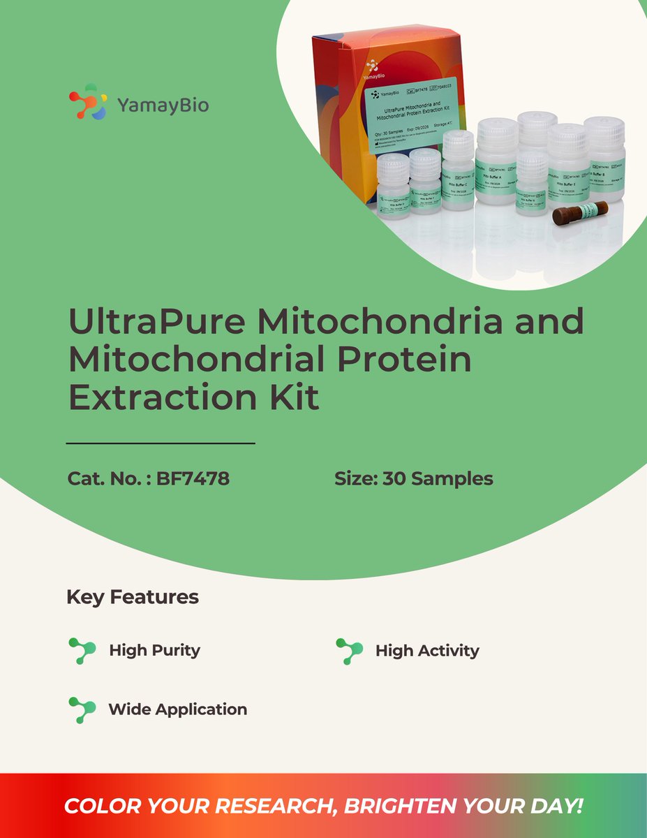 yamaybioinc's tweet image. High purity. High activity. No compromise.

Our UltraPure Mitochondria Extraction Kit delivers clean, functional mitochondria for reliable downstream analysis.

#mitochondria #proteomics #WesternBlot #biotech #lablife #YamayBio #research #science
