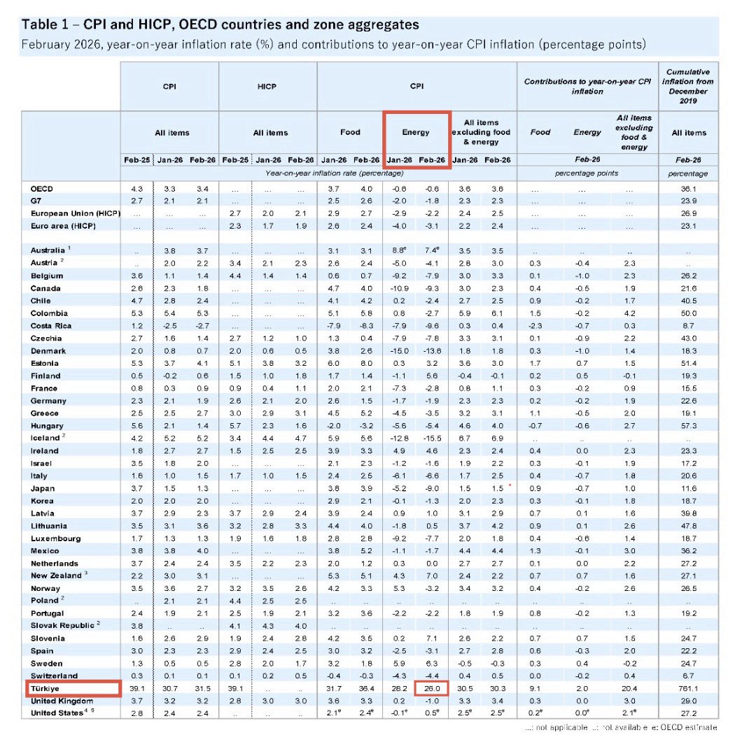 Deniz Yavuzyılmaz tweet media