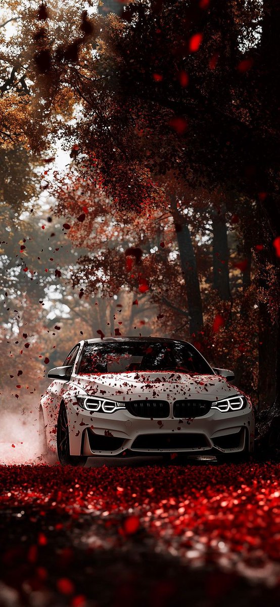 iPhone Wallpapers tweet media