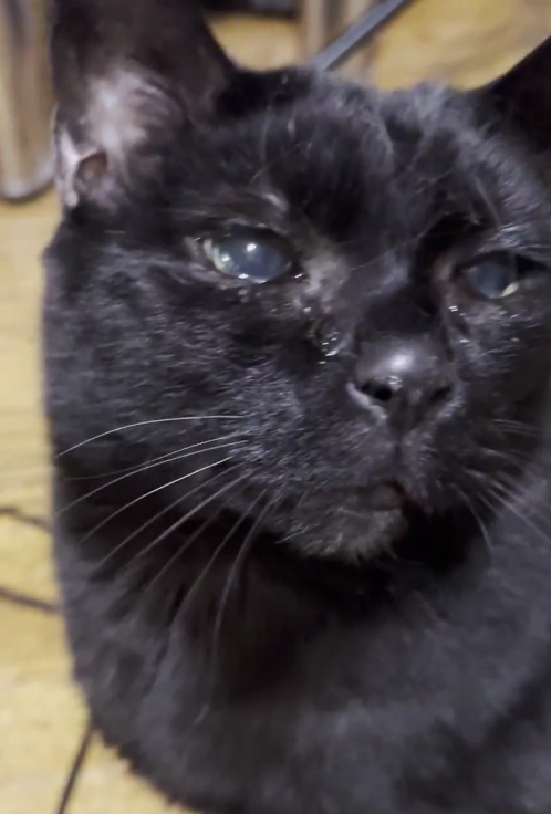 Sherry Miller tweet media