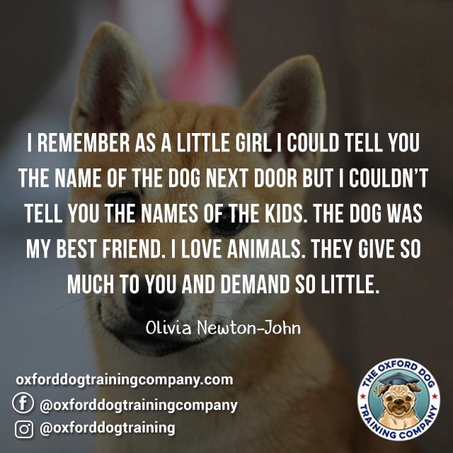 OxfordDogTrain's tweet image. #dog #dogtraining #dogtrainingoxford #dogsarebetterthanpeople #quote #dogquote #dogs #dogtrainer #oxford #quotes #oxforddogtraining #oxforddogtrainingcompany