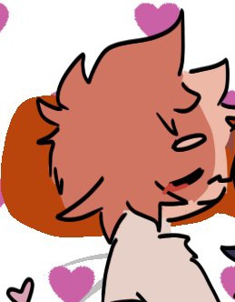 🐈🍪Biscuit!🍪🐈 tweet media