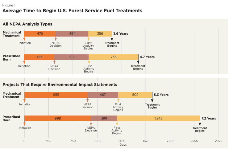 bumbadum tweet media