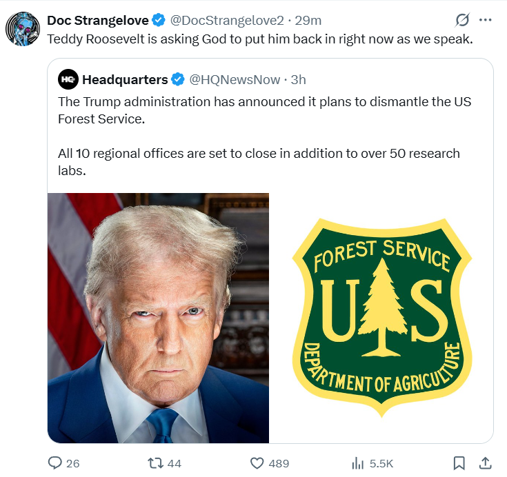 bumbadum tweet media