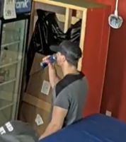 Pinguinus Sapiens tweet media