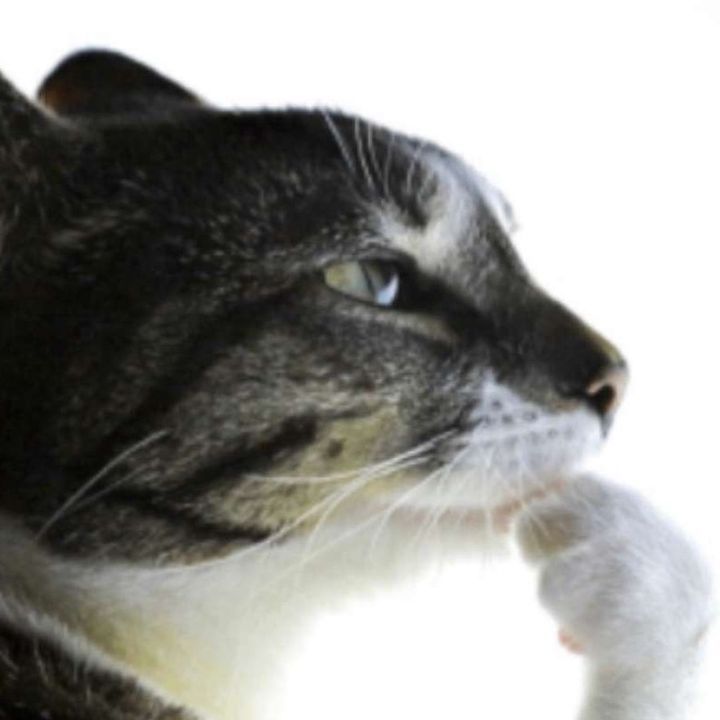 sagie au's tweet media