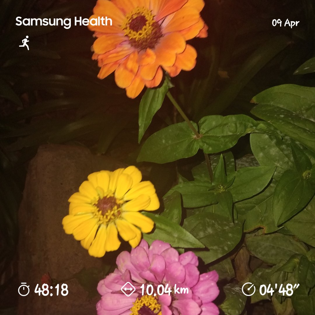 Lehloho20228485's tweet photo. #running #RunningMan #fetchyourbody2026 #runningsolo https://t.co/CScygtereH