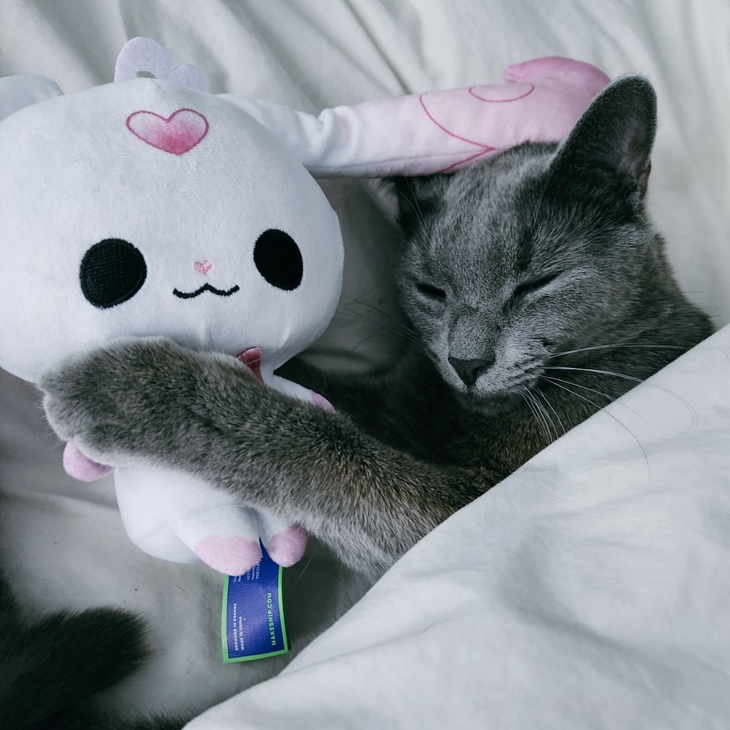 eggy 🪺🪶 tweet media