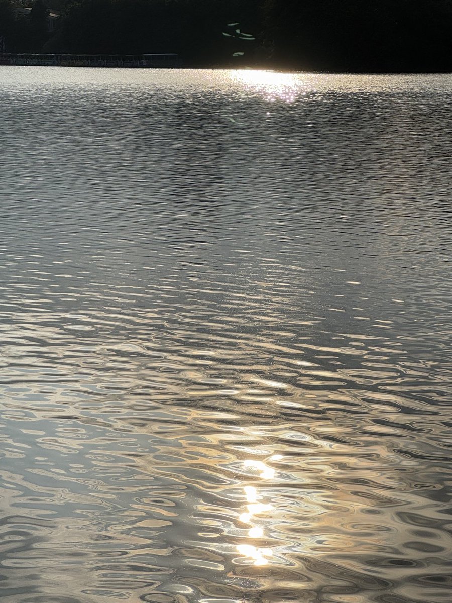 C_lucky☘ tweet media