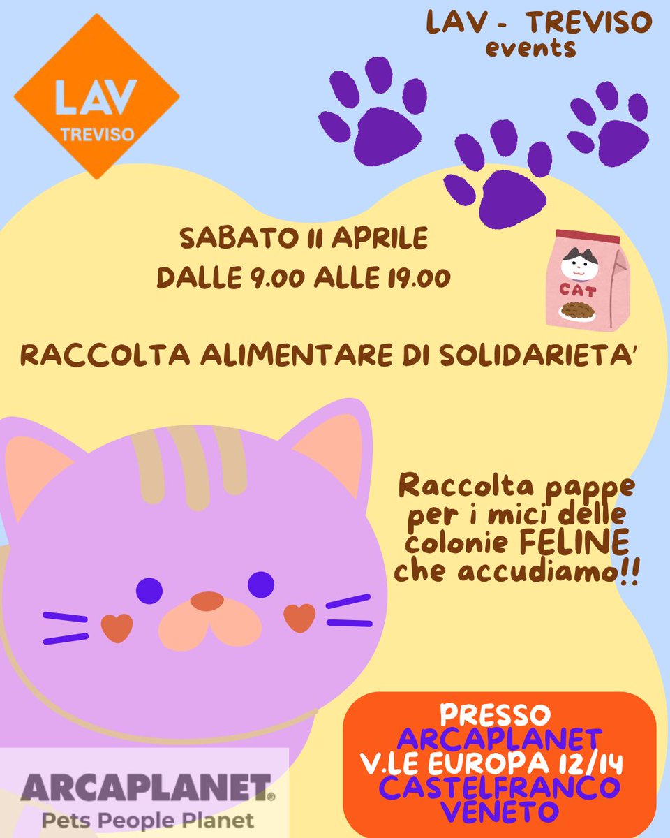 LAV Treviso tweet media