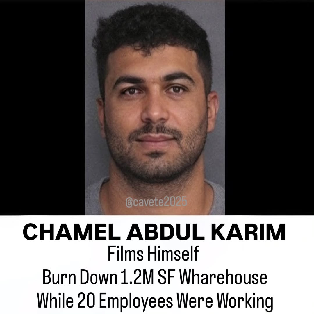 💥LoLo💥 tweet media