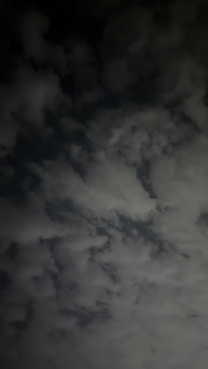 Lil Wayne tweet media