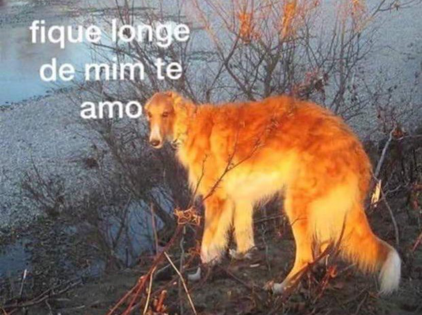 rom ⋆✴︎˚｡⋆ tweet media