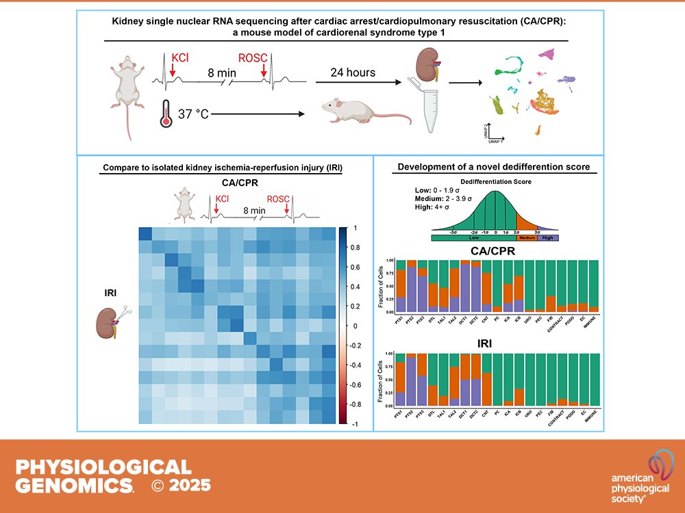 Physiological Genomics (@PhysiologicalG) / Posts / X