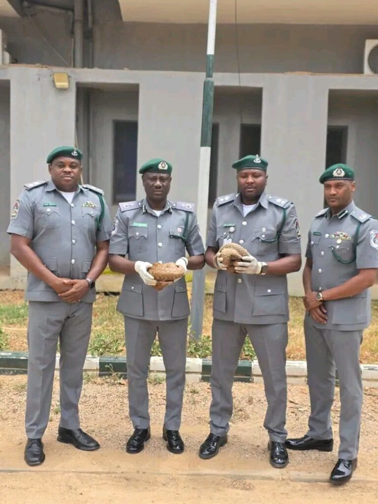 Nigeria Stories tweet media