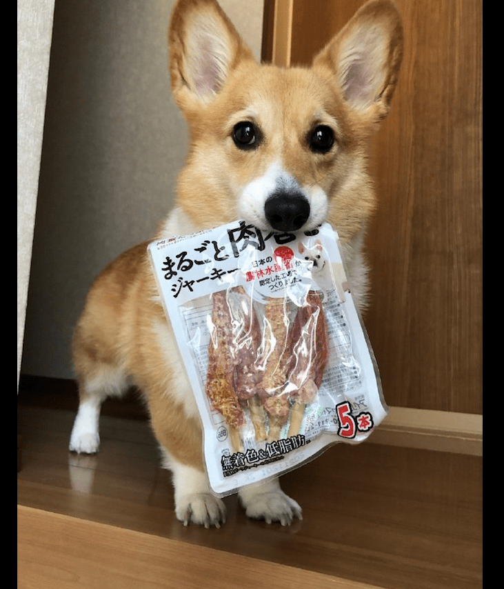 Jillian Clarke tweet media