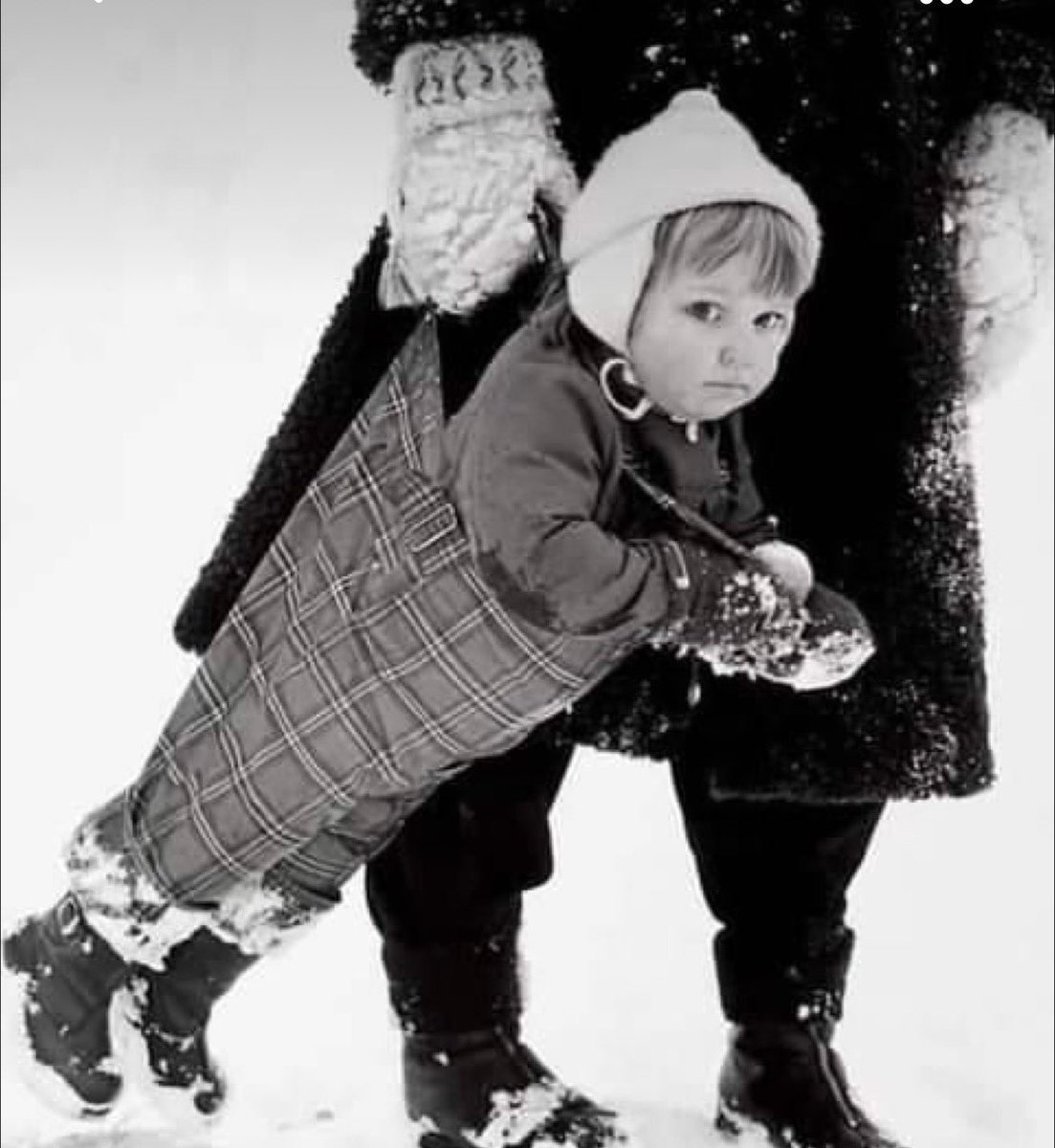 почему а главное зачем tweet media