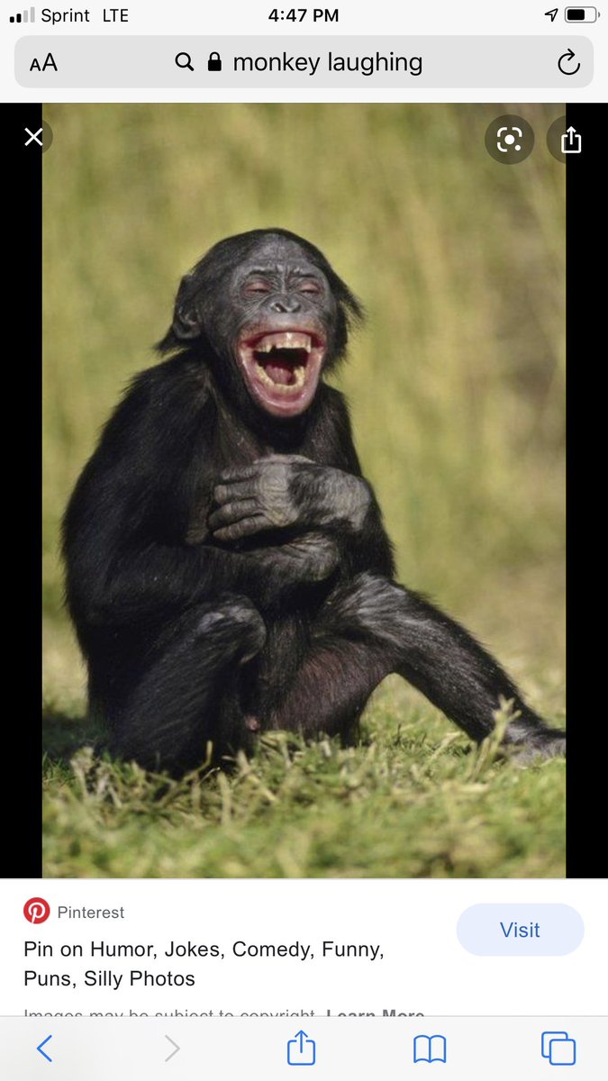 Lord Rizy tweet media