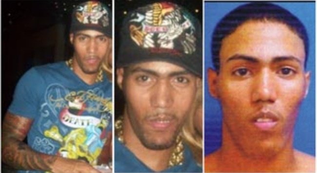 Blitz rio de janeiro tweet media