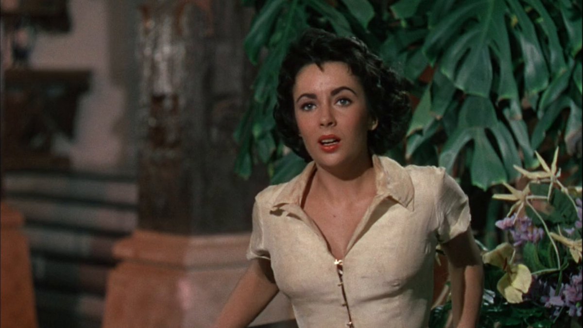 Elizabeth Taylor tweet media