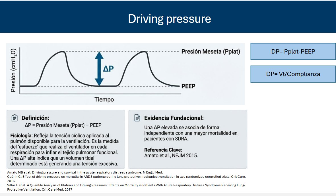 Fede Gordo-Vidal tweet media