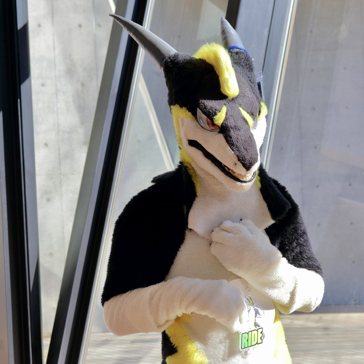 りばーす 📷 tweet media