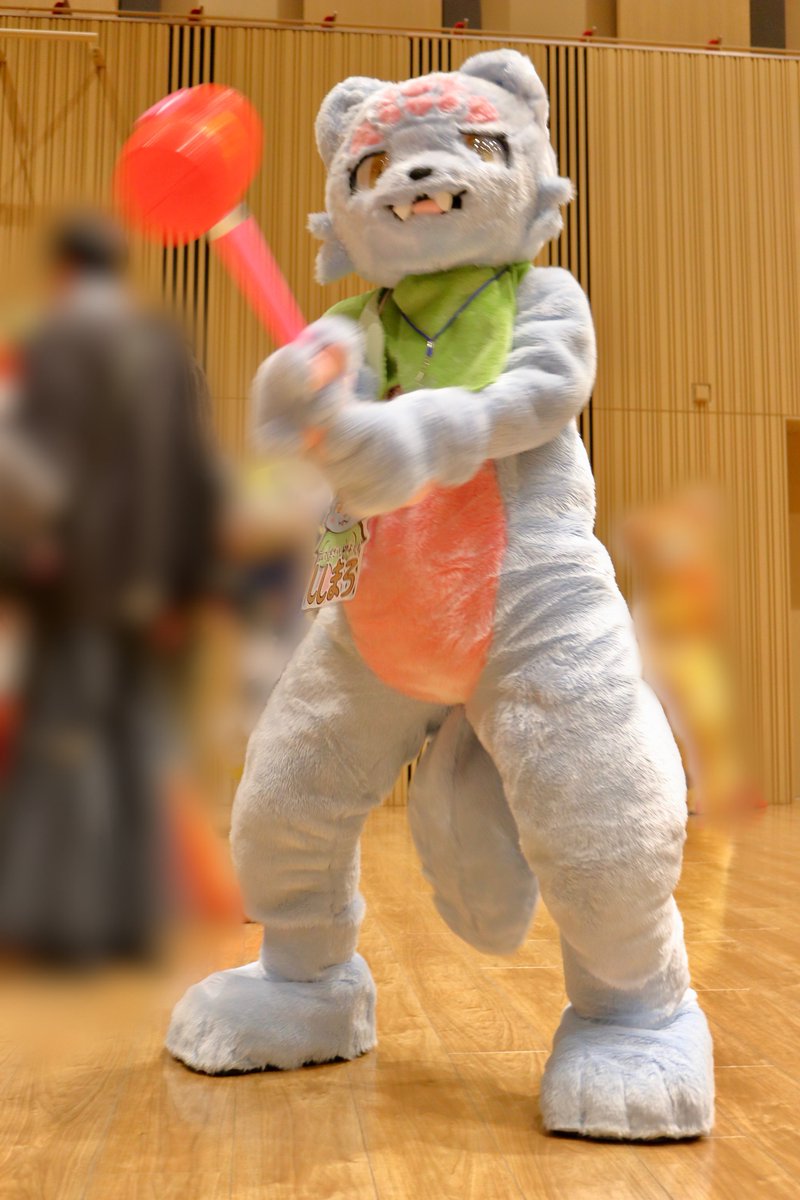 りばーす 📷 tweet media