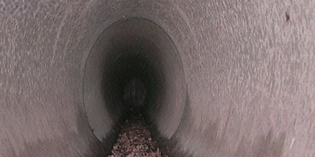 Brampton Grow Green tweet media