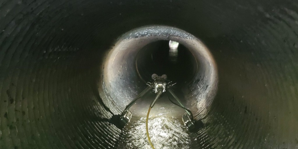 Brampton Grow Green tweet media