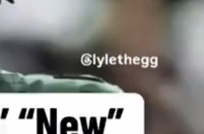 LyleTheEgg tweet media