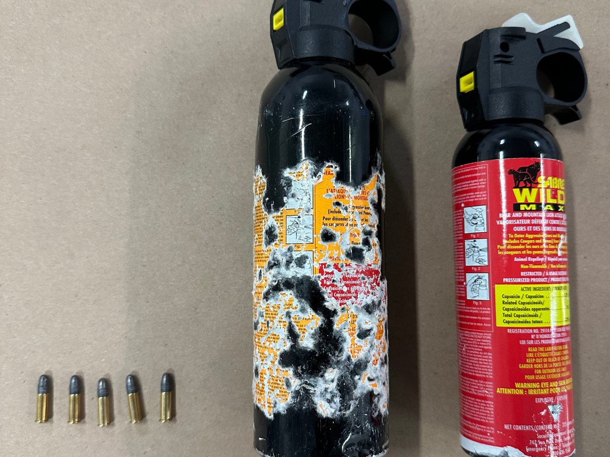 IMPACTautocrime's tweet image. This is what officers found inside a stolen vehicle.

Keys. Identification. Bear spray. Ammunition. Auto crime often connects to broader criminal activity.

 Lock your doors. Remove valuables. Stay aware.

#autocrimeenforcementmonth #autocrimeprevention #CrimePreventionTips