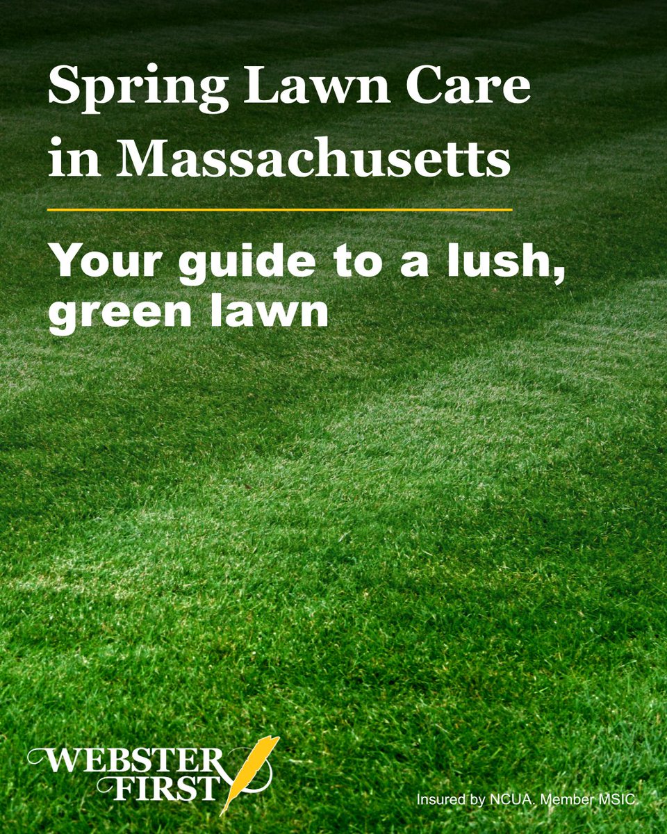 Webster First FCU tweet media