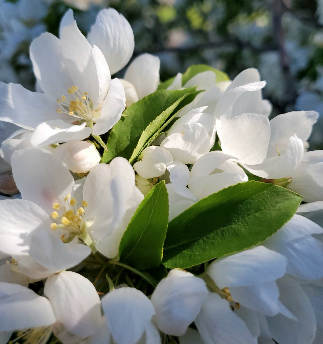 4Wick 🕯️ tweet media