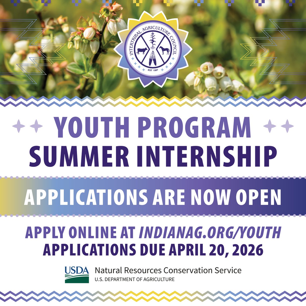 IACupdate's tweet image. Less than two weeks left to submit your application for the #YouthProgram Summer Internship! This is a paid #internship for 12-14 weeks, 25-35 hours per week, between May and September.

APPLY: bit.ly/2026IACInterns…

#SummerInternship #Intern