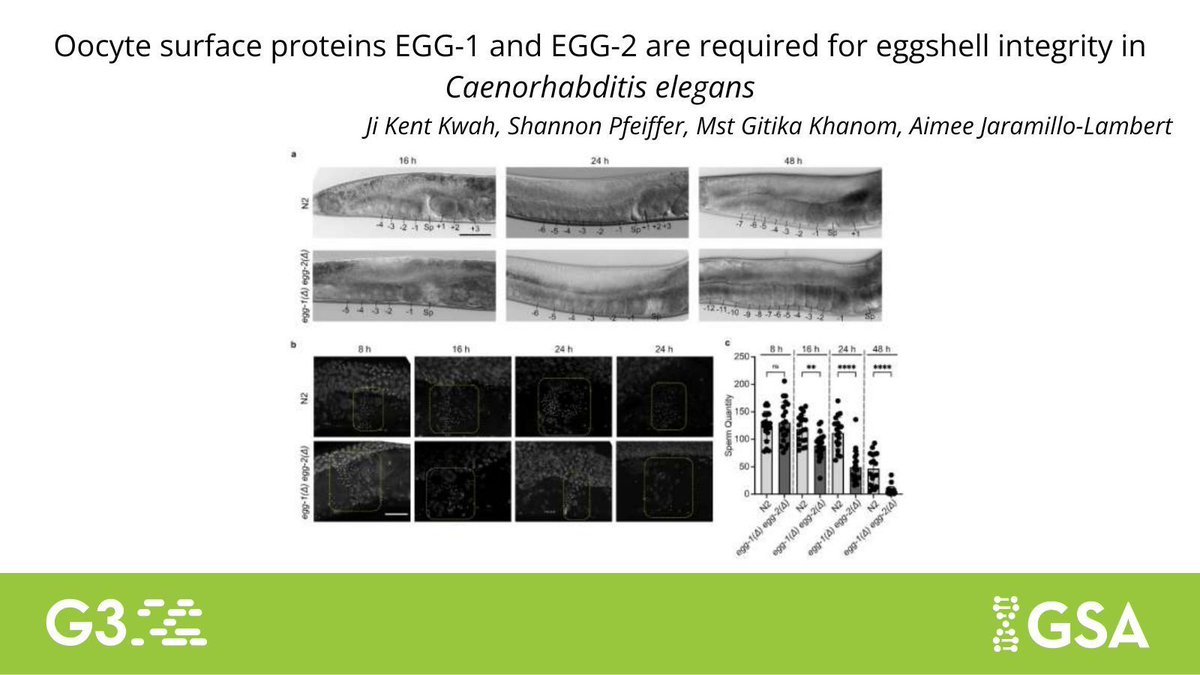 Genetics Society of America tweet media