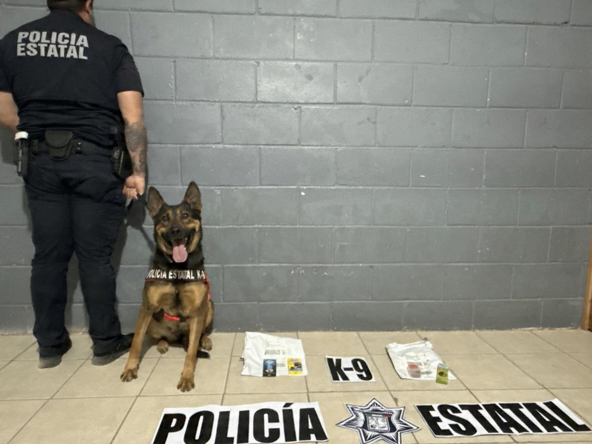 Secretaría de Seguridad y Protección Ciudadana tweet media