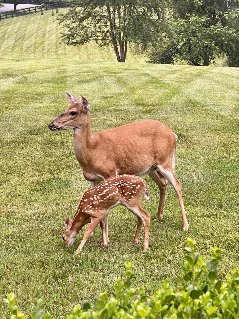 Marvin. (I have a Lord Title)😂 tweet media