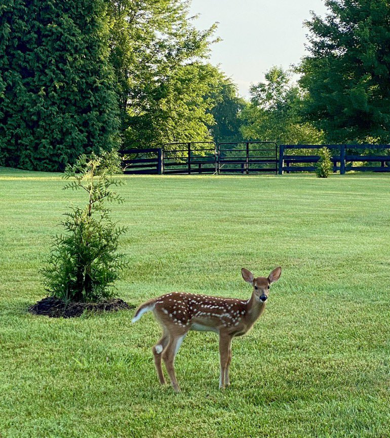 Marvin. (I have a Lord Title)😂 tweet media