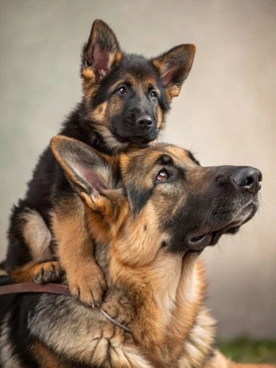 JamieFairchild tweet media