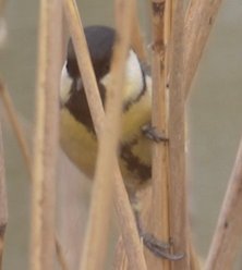 조각조각 tweet media