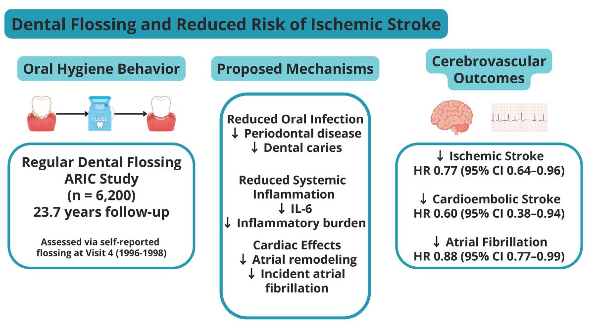 StrokeAHA_ASA's tweet image. In an observational cohort study, dental flossing was associated with a reduced hazard of #stroke, including cardioembolic stroke. @alonso_epi @ahhlaynah_rdh @SouvikS57356262 ahajrnls.org/4cbBfef
