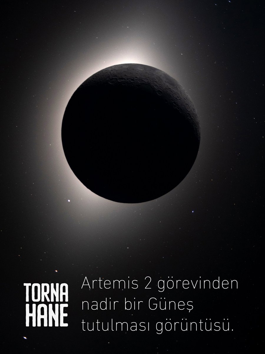 Tornahane tweet media