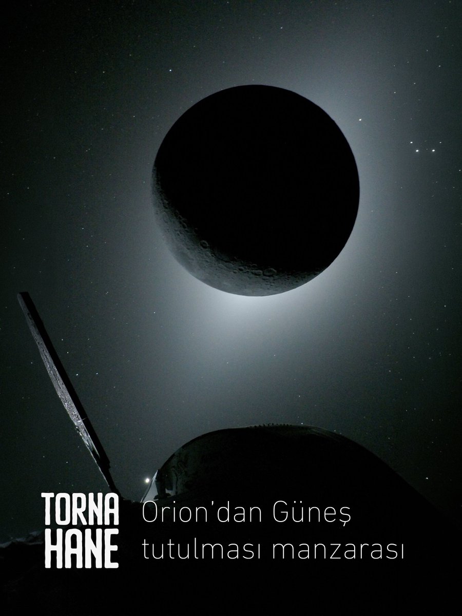 Tornahane tweet media