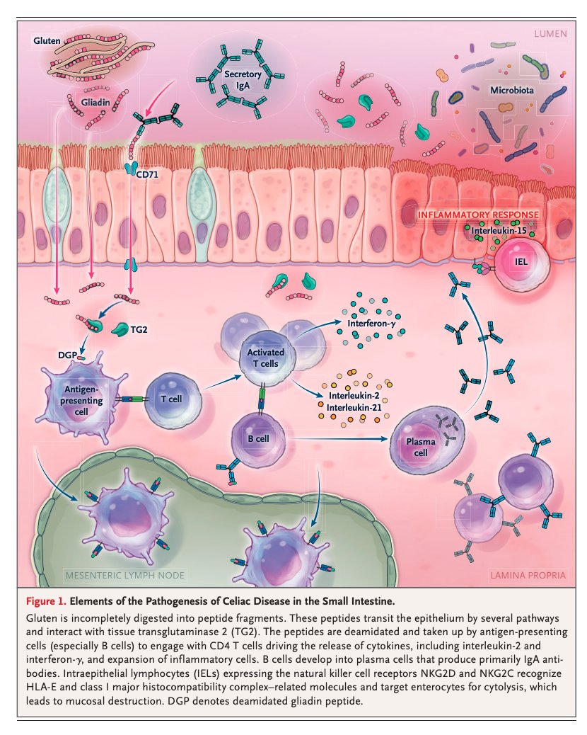 Oliverio tweet media
