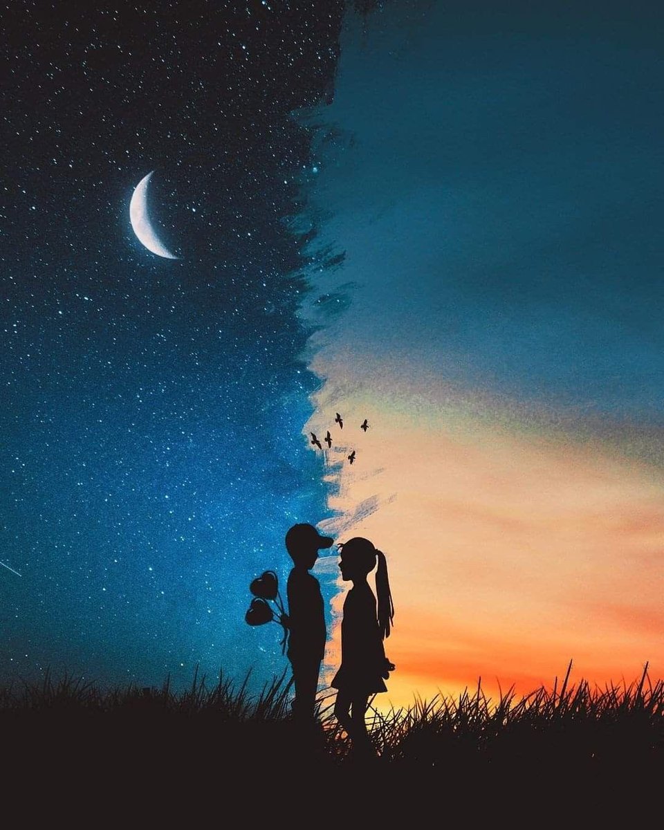 Shooting star tweet media